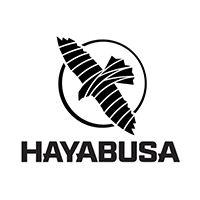 HAYABUSA