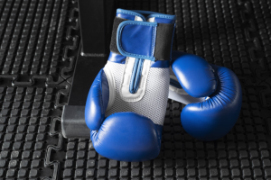 melhores luvas de boxe