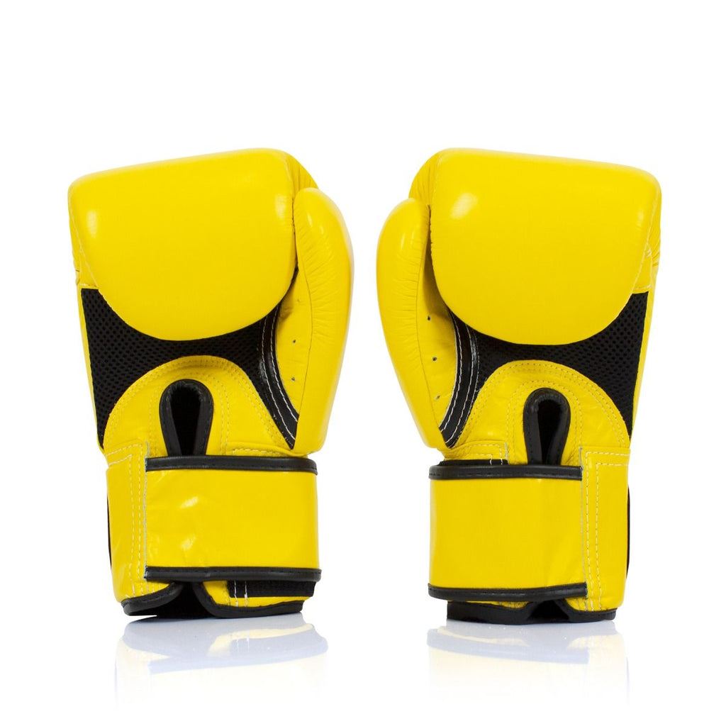 Fairtex BGV1 Gants de boxe respirants