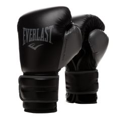 Everlast Powerlock 2 Boxing Gloves