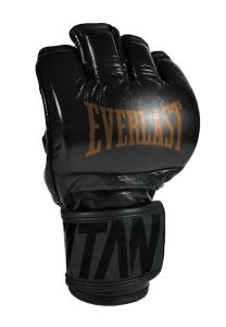 Everlast Titan Pro MMA Handschuhe