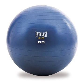 Everlast Balle de Stabilité de 65cm