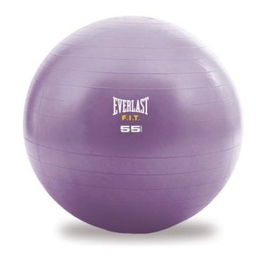 Everlast Balle de Stabilité de 55cm