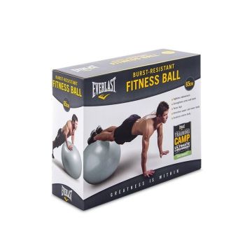 Everlast Anti-burst Inflatable Balls 65cm