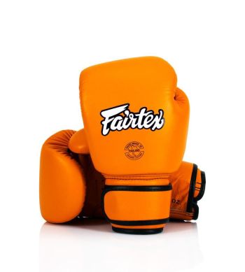 Fairtex BGV16 Echtleder Boxhandschuhe