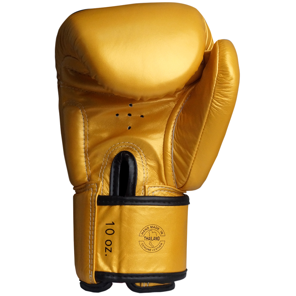Fairtex BGV19 Deluxe Enganliegende Boxhandschuhe
