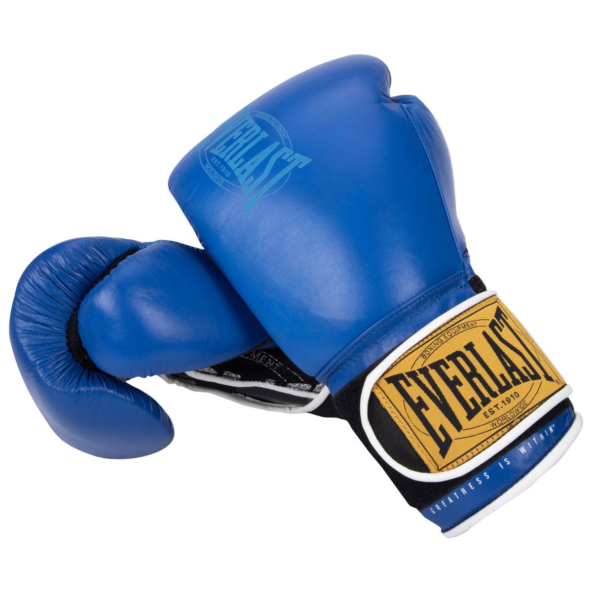 boxing gloves vs muay thai gloves