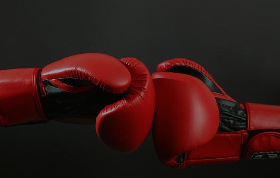 Some Regular Features of Boxing Gloves