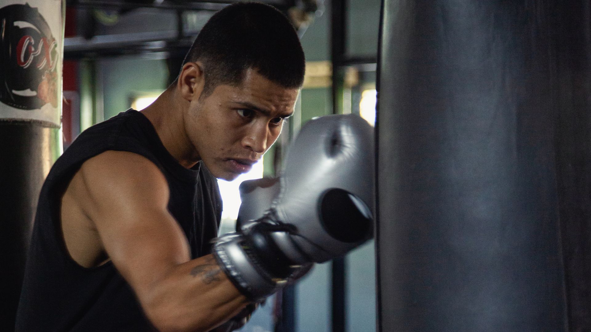 Wie Sie Ihre Fairtex Boxhandschuhe Richtig Reinigen und Pflegen, Damit Sie Lange Halten