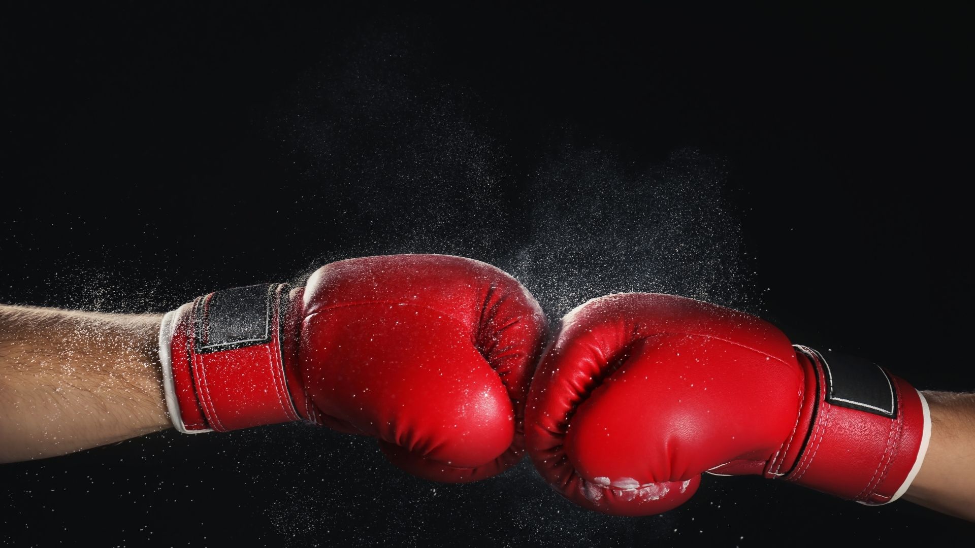 Équipement de boxe 101 : une ventilation complète de l'équipement et de ses utilisations