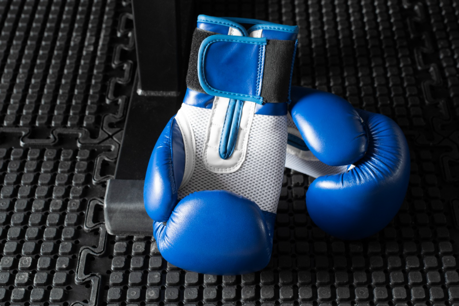 Best Boxing Gloves for Heavy Bag Training: A Complete Beginner Guide 