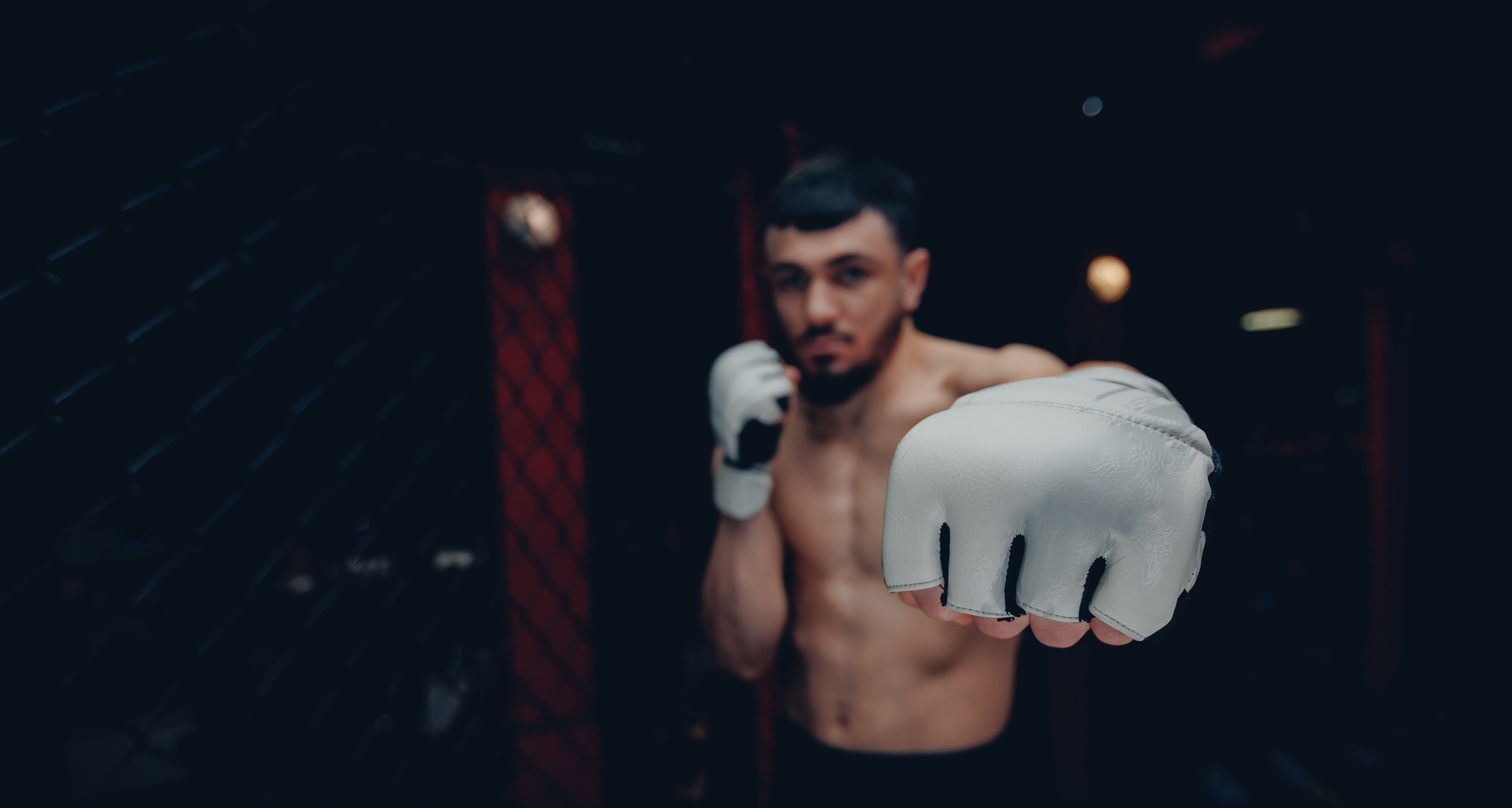 Boxing Gloves