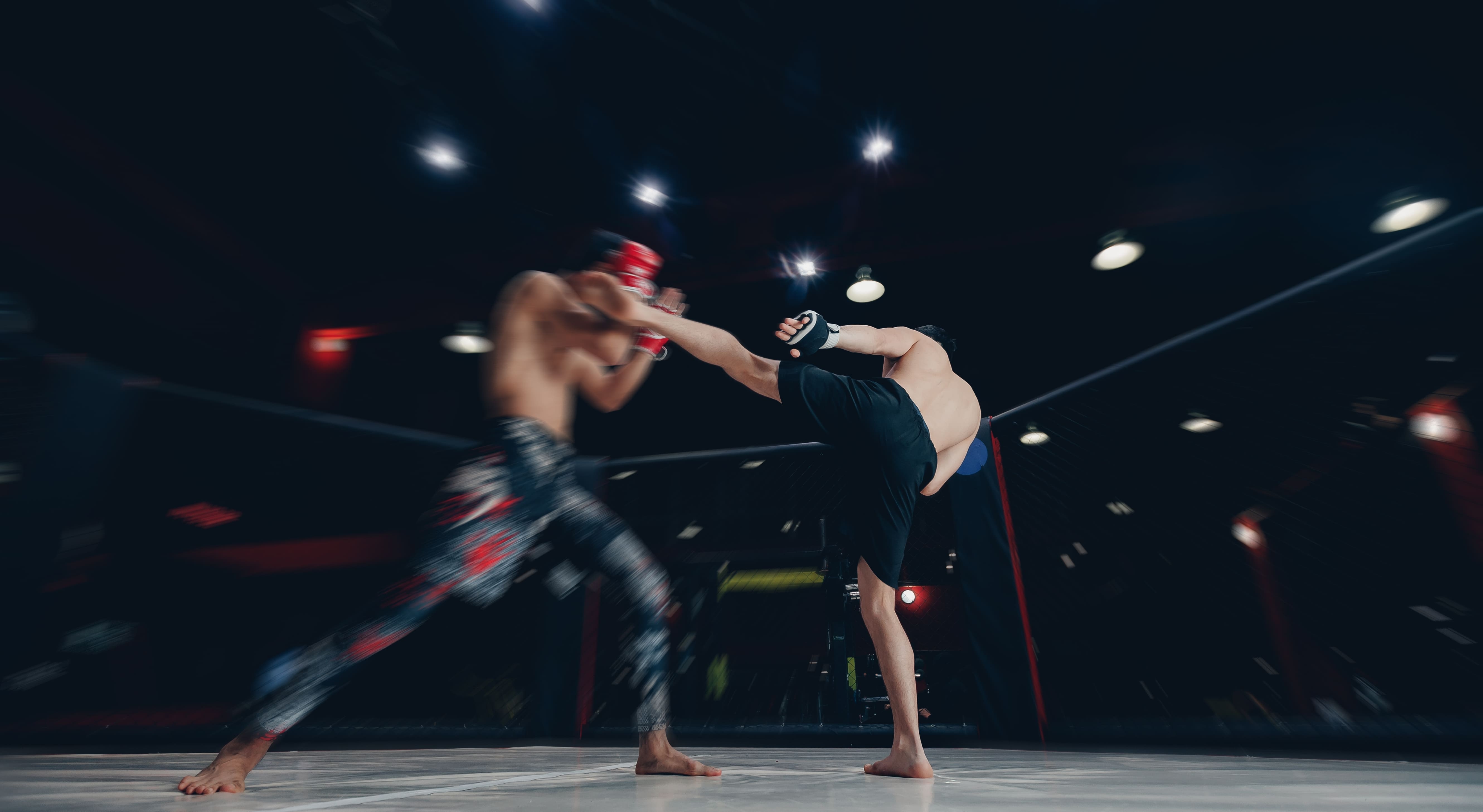 Kickboxing Gloves