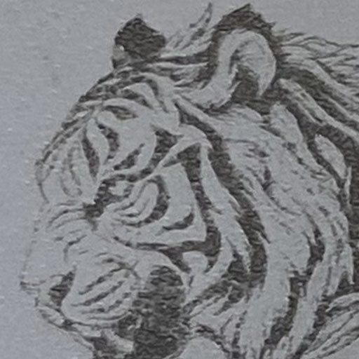 gants de boxe blancs personnalisés avec gravure détaillée de tigre