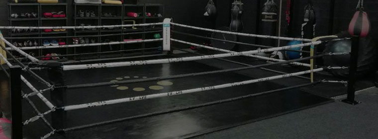 Ring de Boxeo