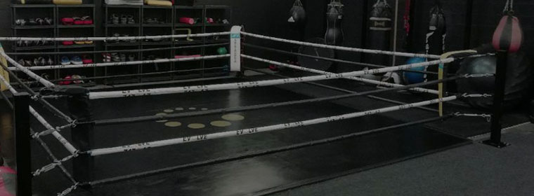 boxing ring accessories